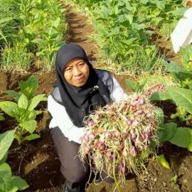 JANGAN MALU JADI PETANI 